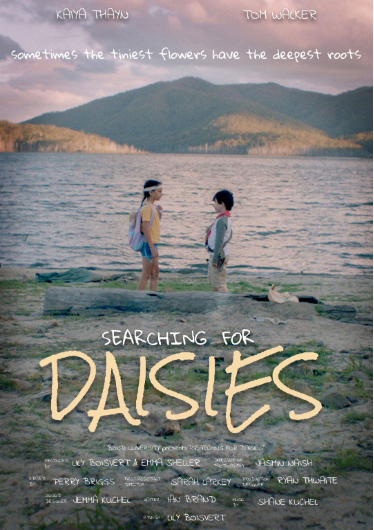 Searching for Daisies Backdrop