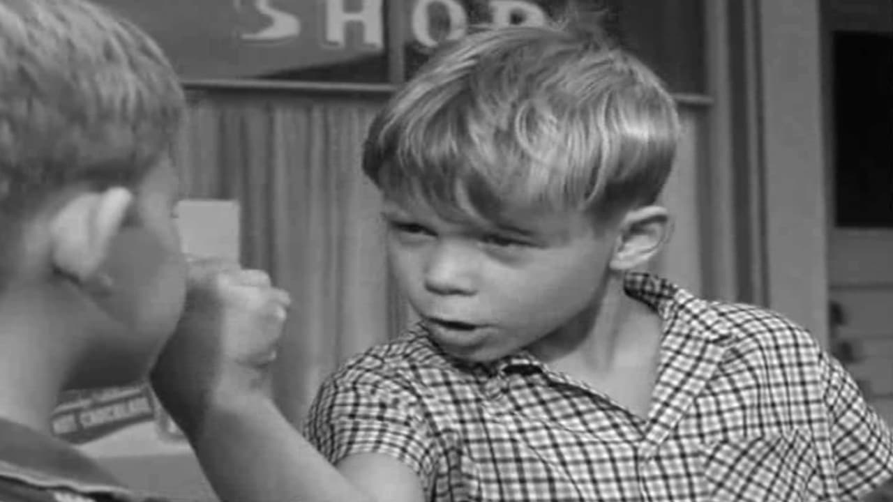 The Andy Griffith Show - Season 2 Episode 1 : Opie and the Bully
