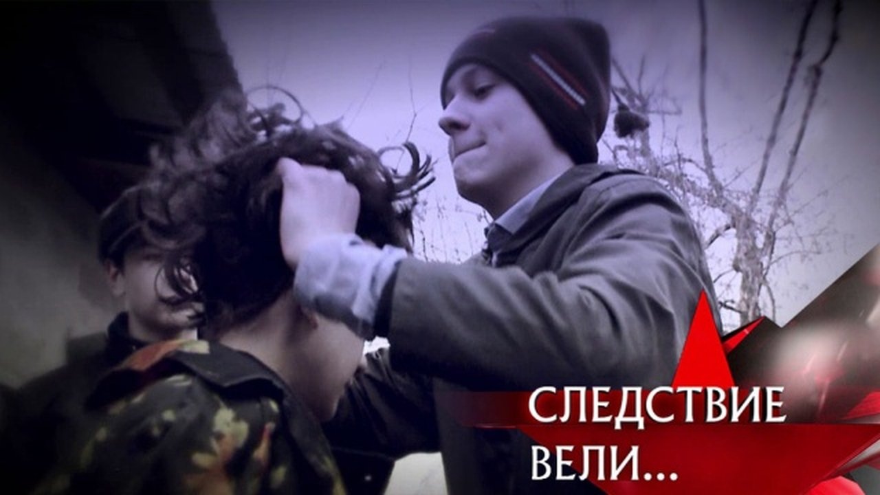 The investigation was conducted - Season 15 Episode 9 : Episode 9