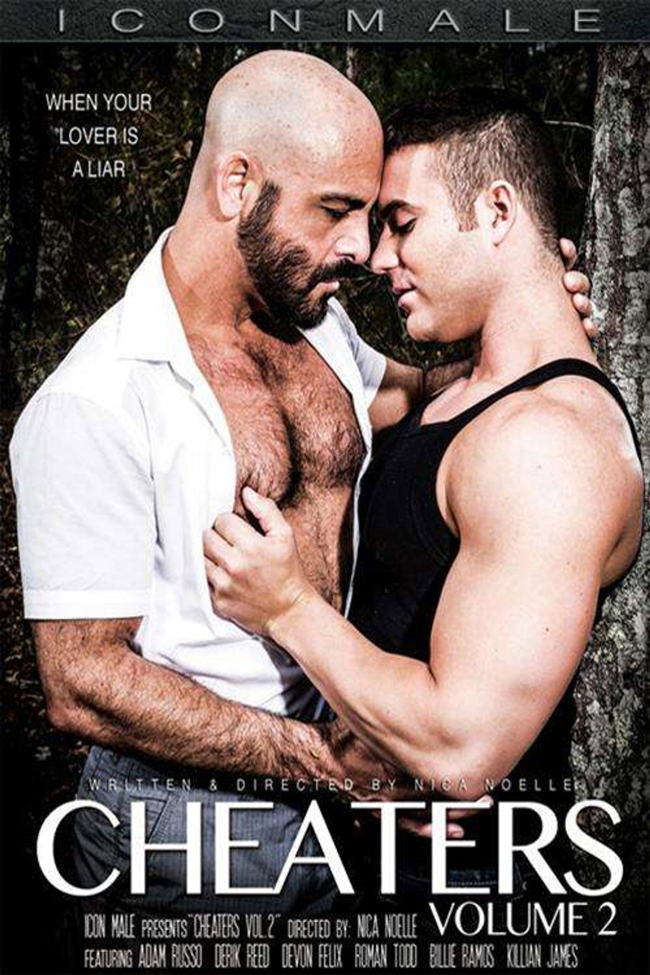 Cheaters 2 filmaffisch