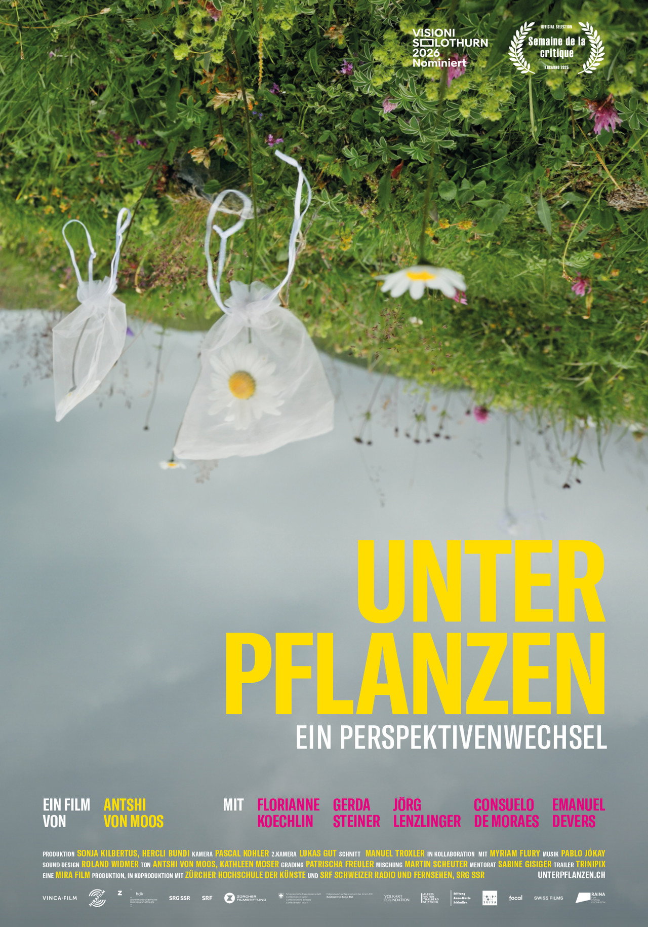 Unter Pflanzen – Ein Perspektivenwechsel filmaffisch