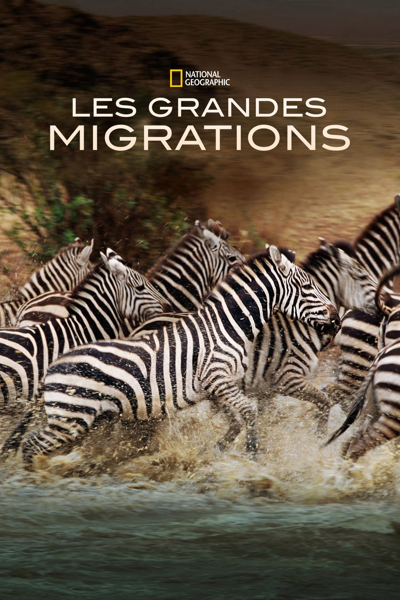 Les grandes migrations poster