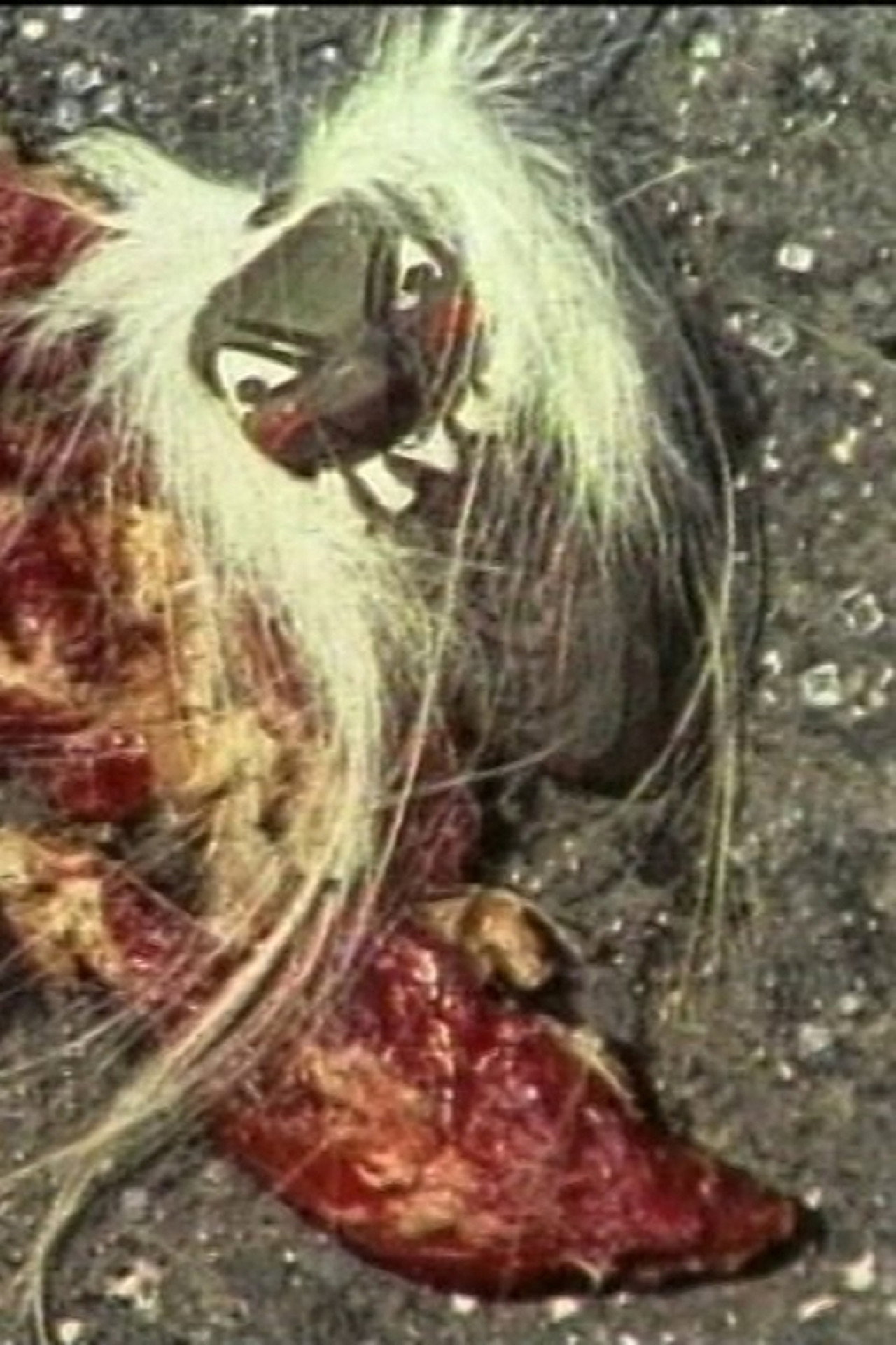 Beaten Meat Glamour