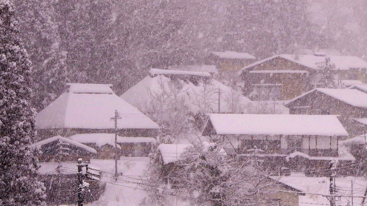 小さな旅 — Épisode 495