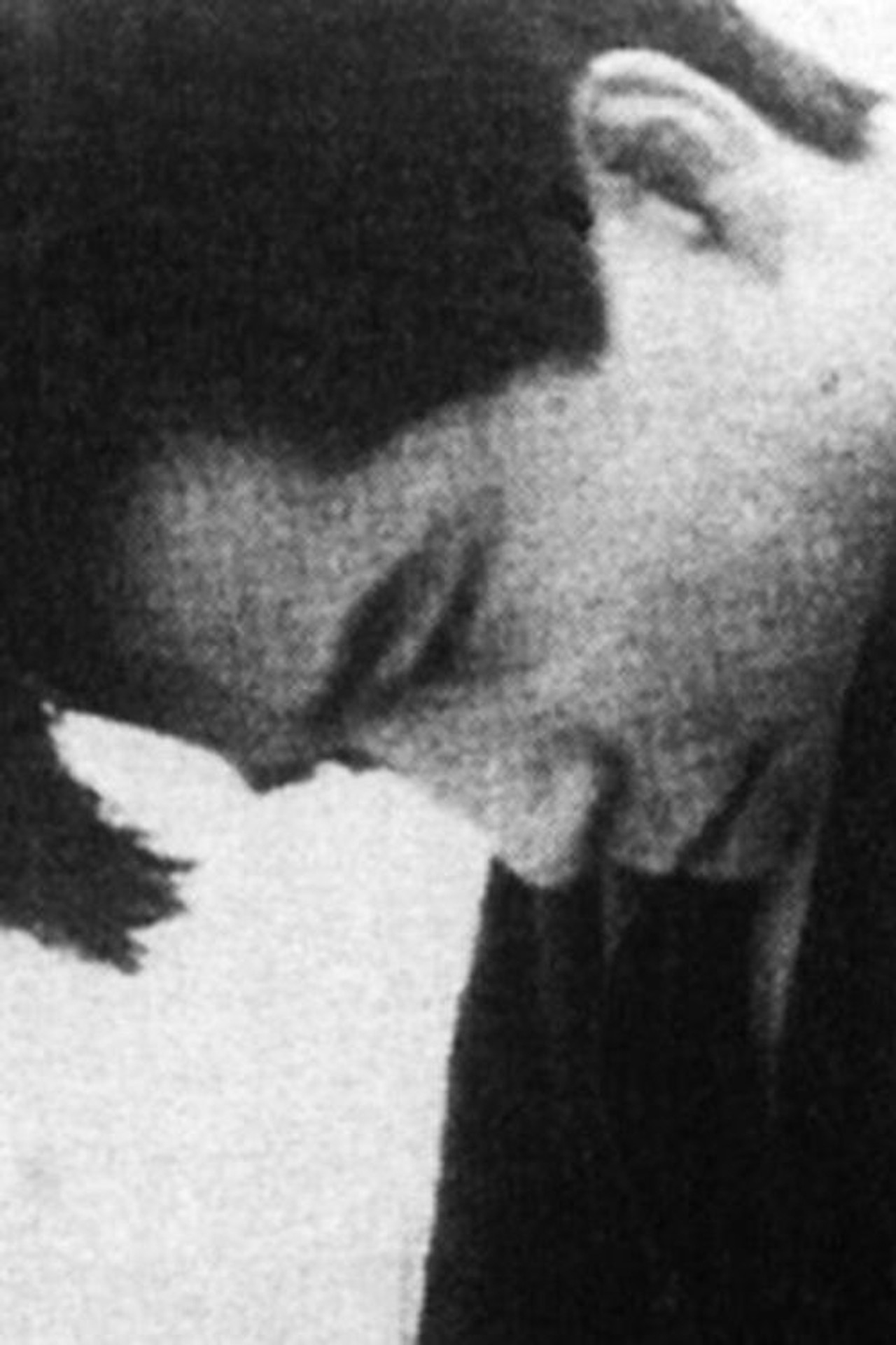 虎 filmaffisch