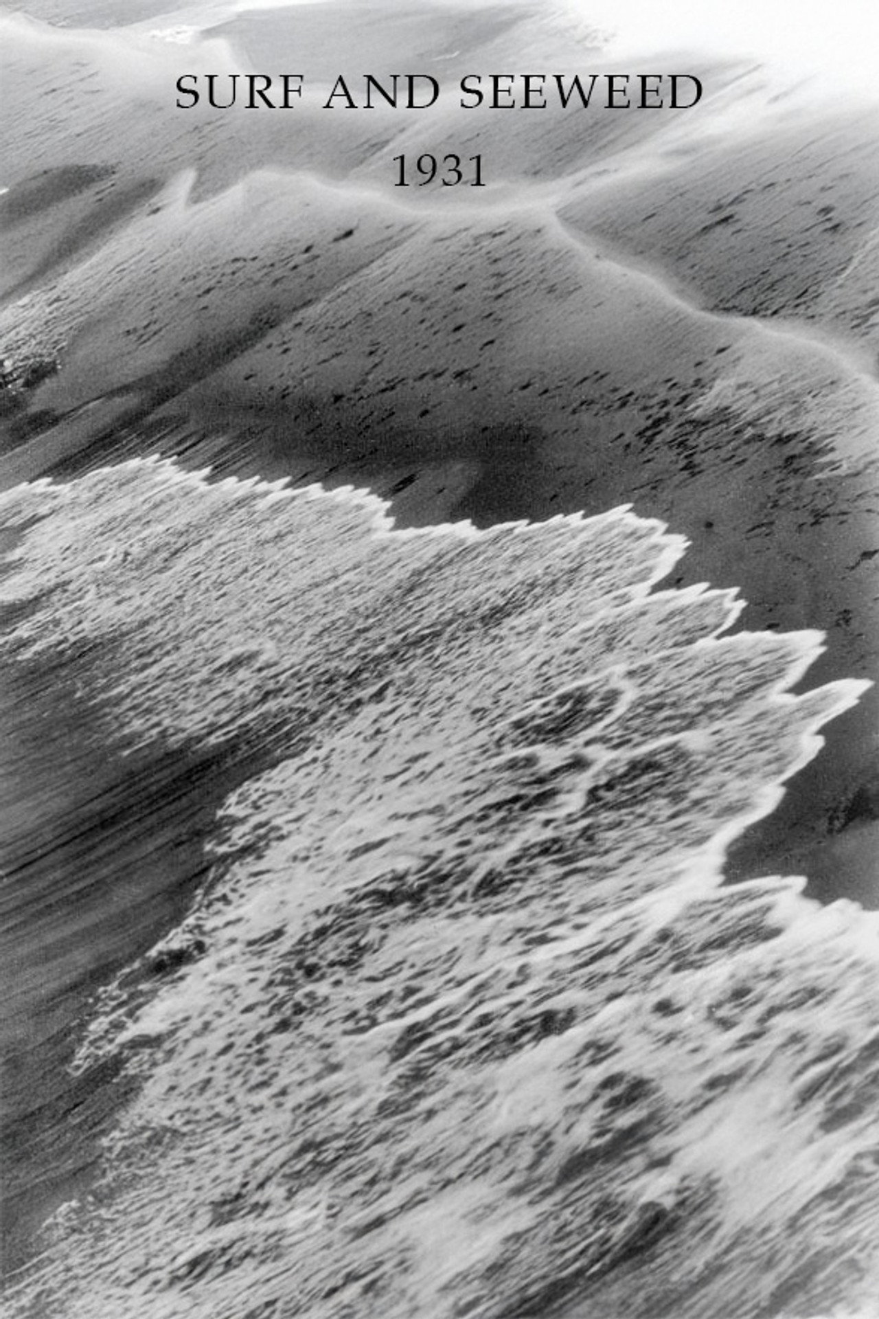 Surf and Seaweed filmaffisch
