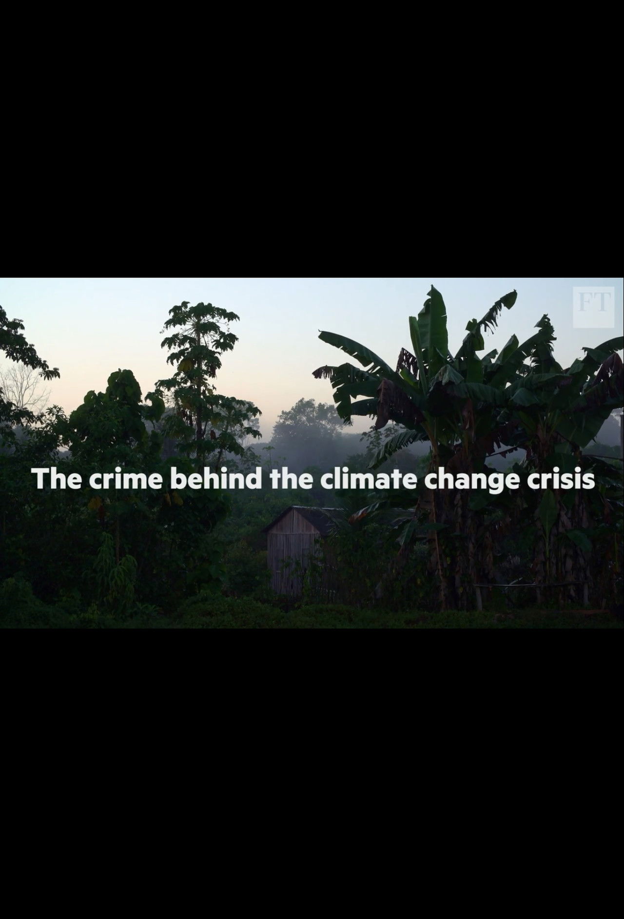 The crime behind the Amazon climate change crisis Backdrop