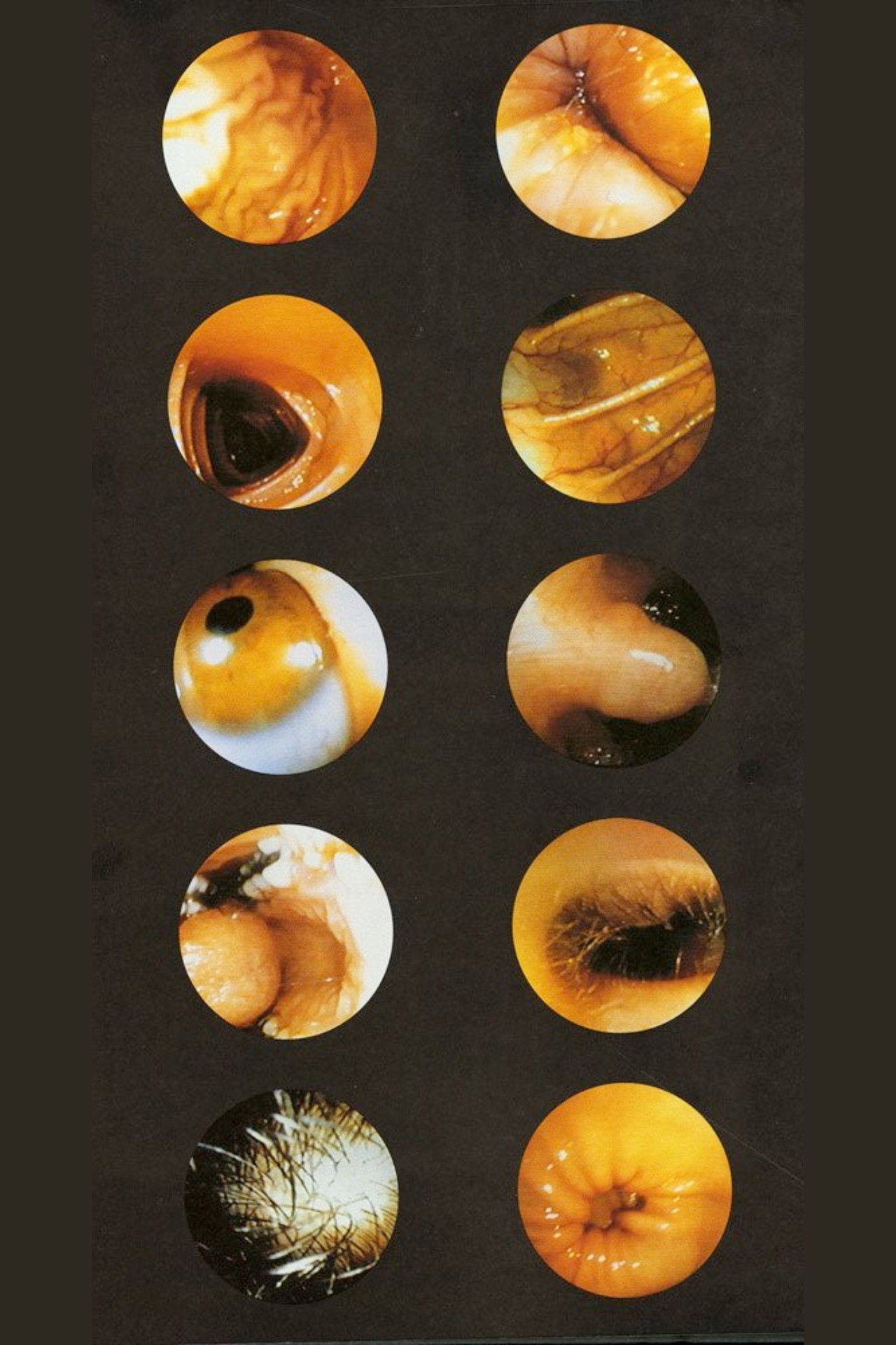 Corps Étranger Backdrop