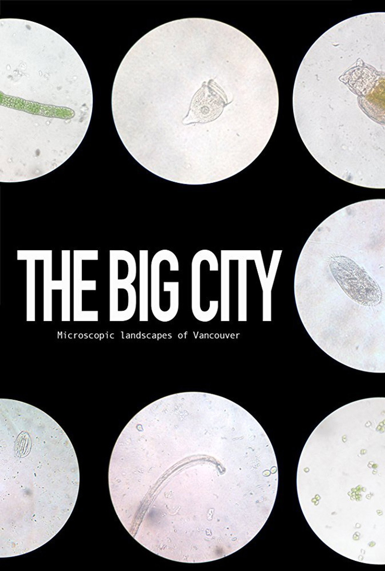 The Big City filmaffisch