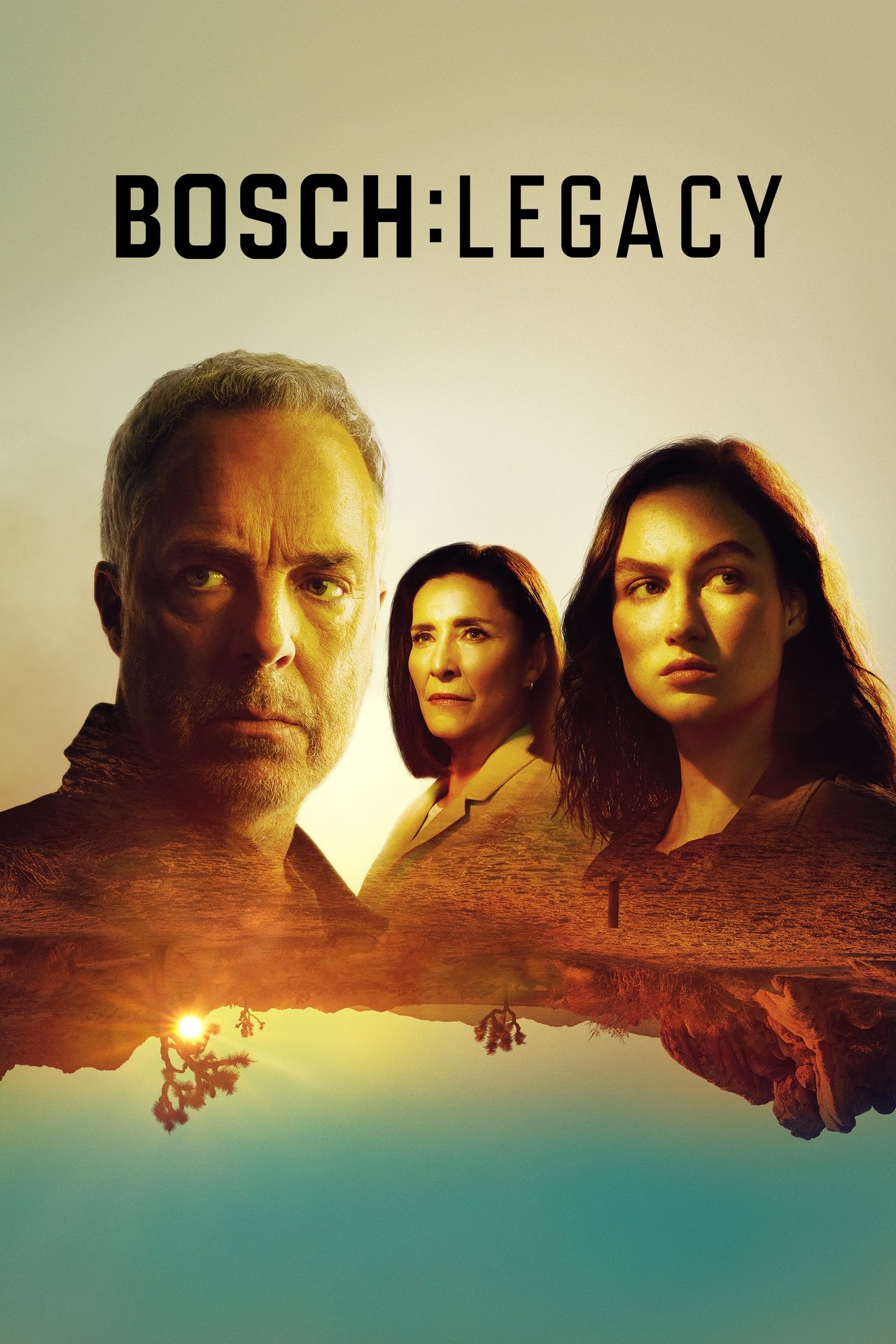 Série 2 seriálu Bosch: Odkaz