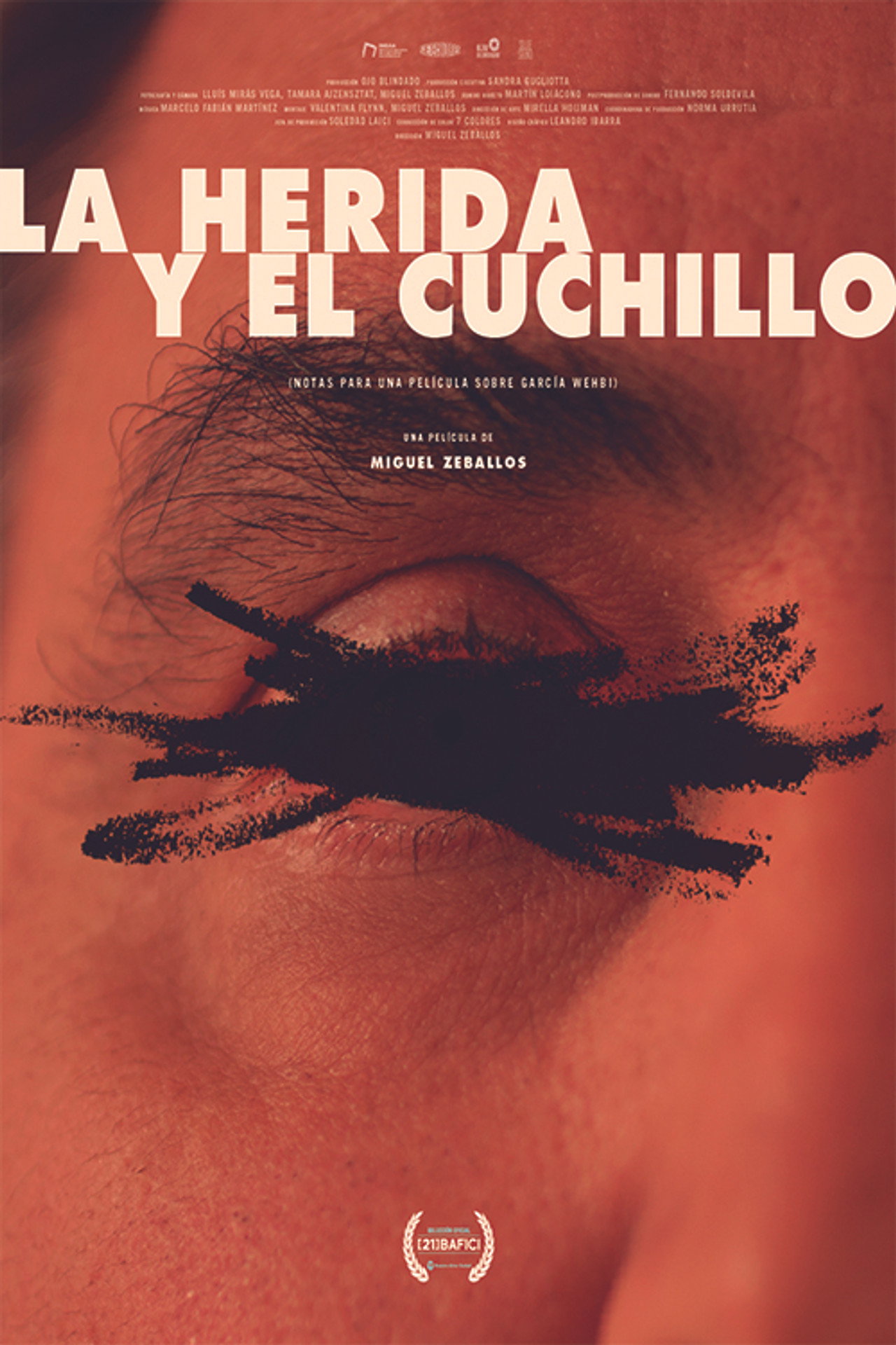 The Wound and the Knife (Notes for a Film About García Wehbi) Backdrop