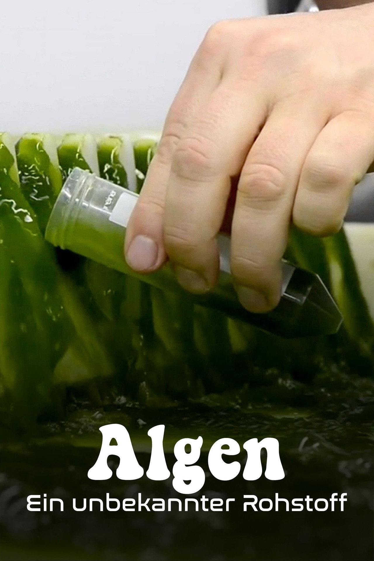 Algen: Ein unbekannter Rohstoff filmaffisch