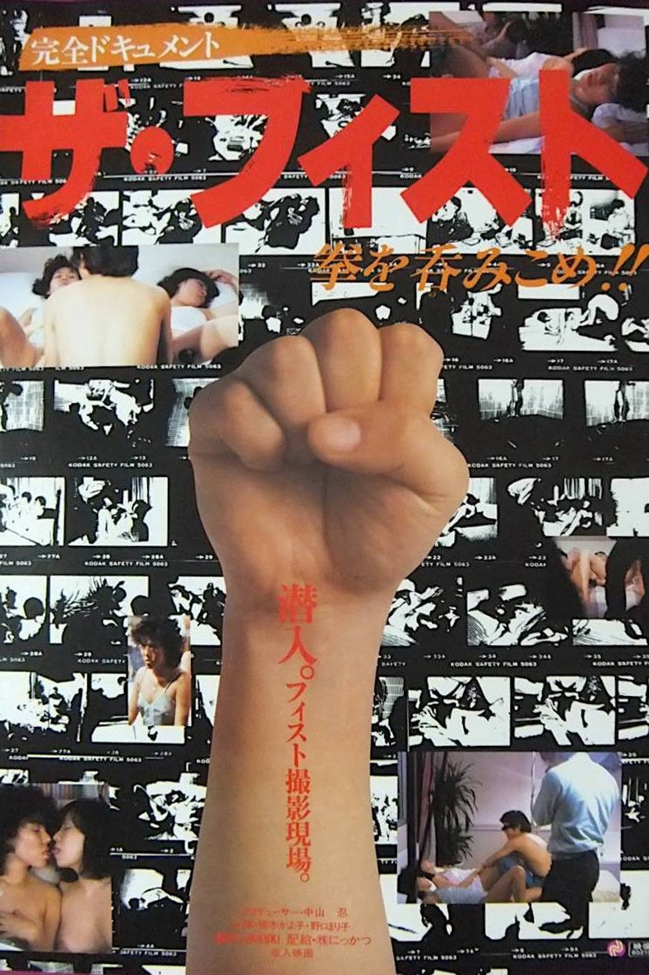 ザ・フィスト　拳を呑みこめ filmaffisch