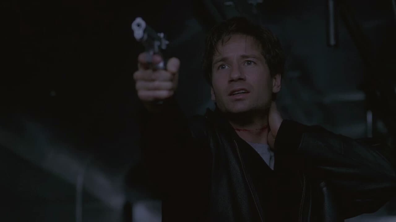 The X-Files - Season 3 Episode 10 : 731 (2)