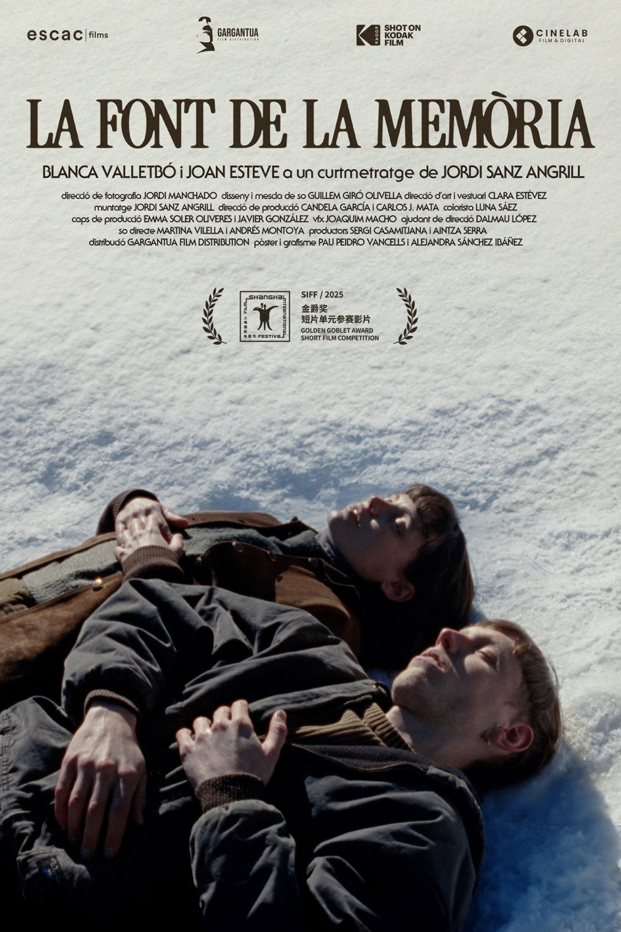 La font de la memòria filmaffisch