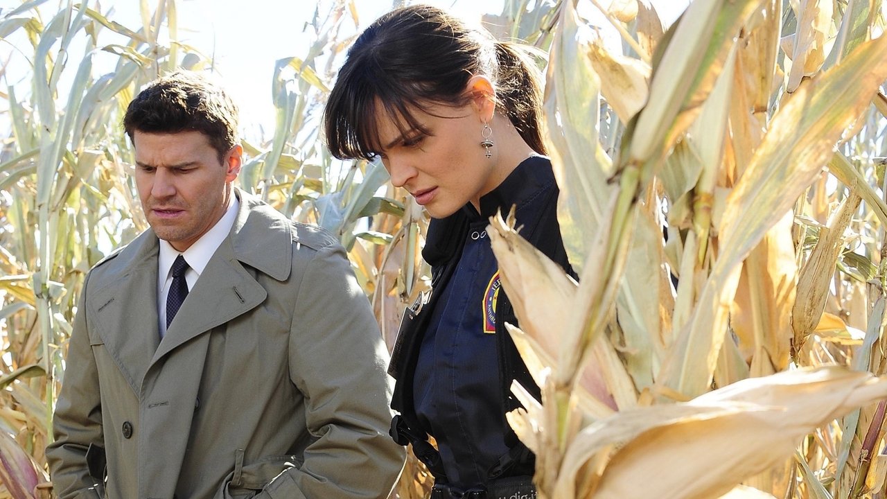 Bones - Season 6 Episode 12 : The Sin in the Sisterhood