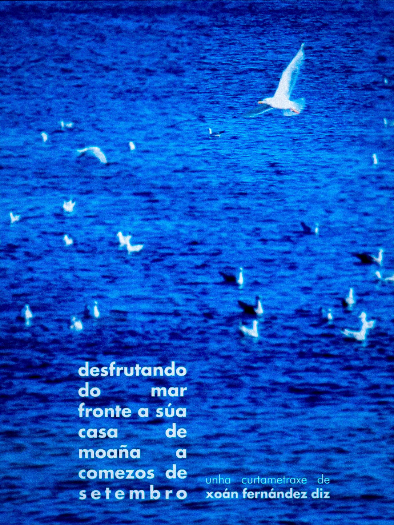 enjoying the sea in front of his house in moaña in early september