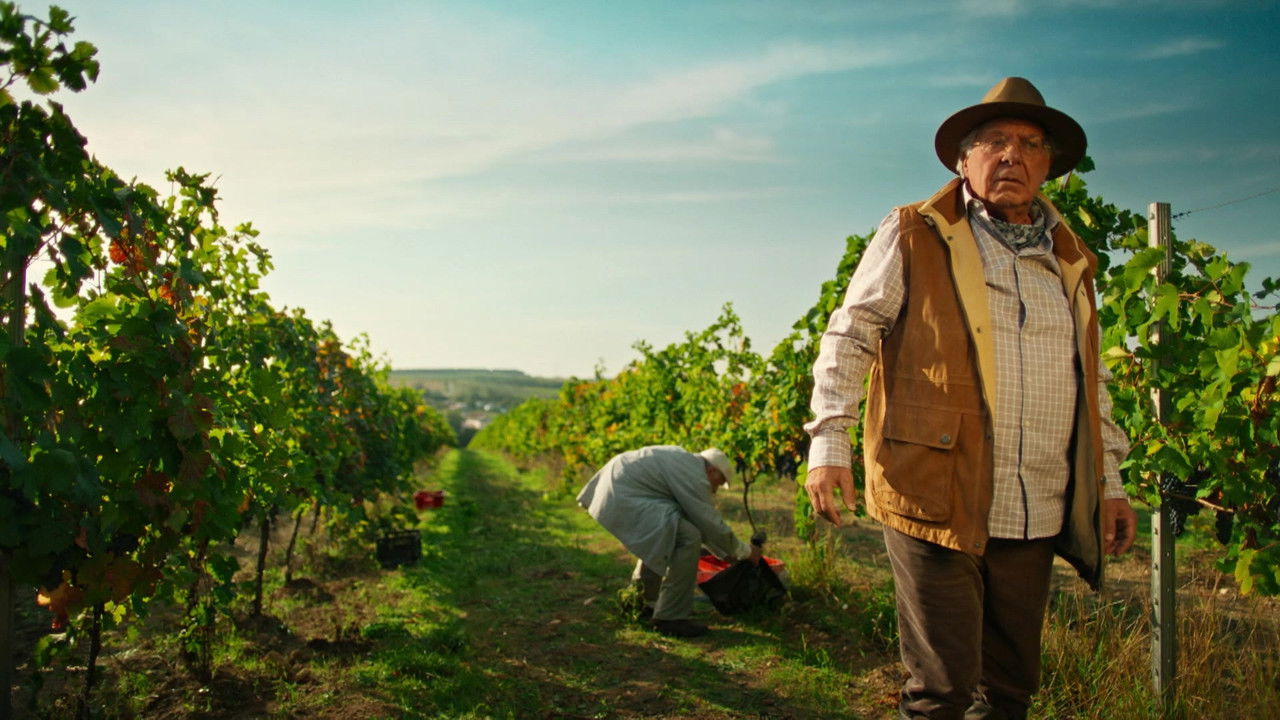 Виноделы — Épisode 4