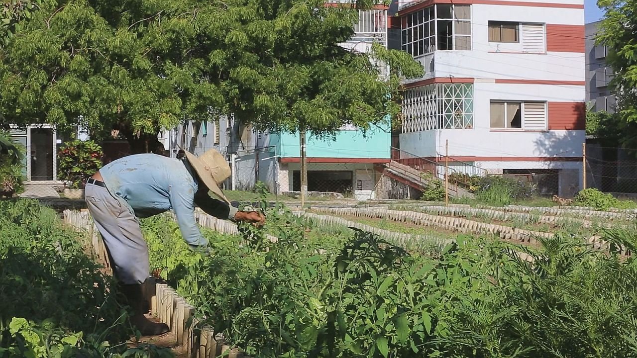 ARTE Reportage - Season 21 Episode 39 : Episode 39