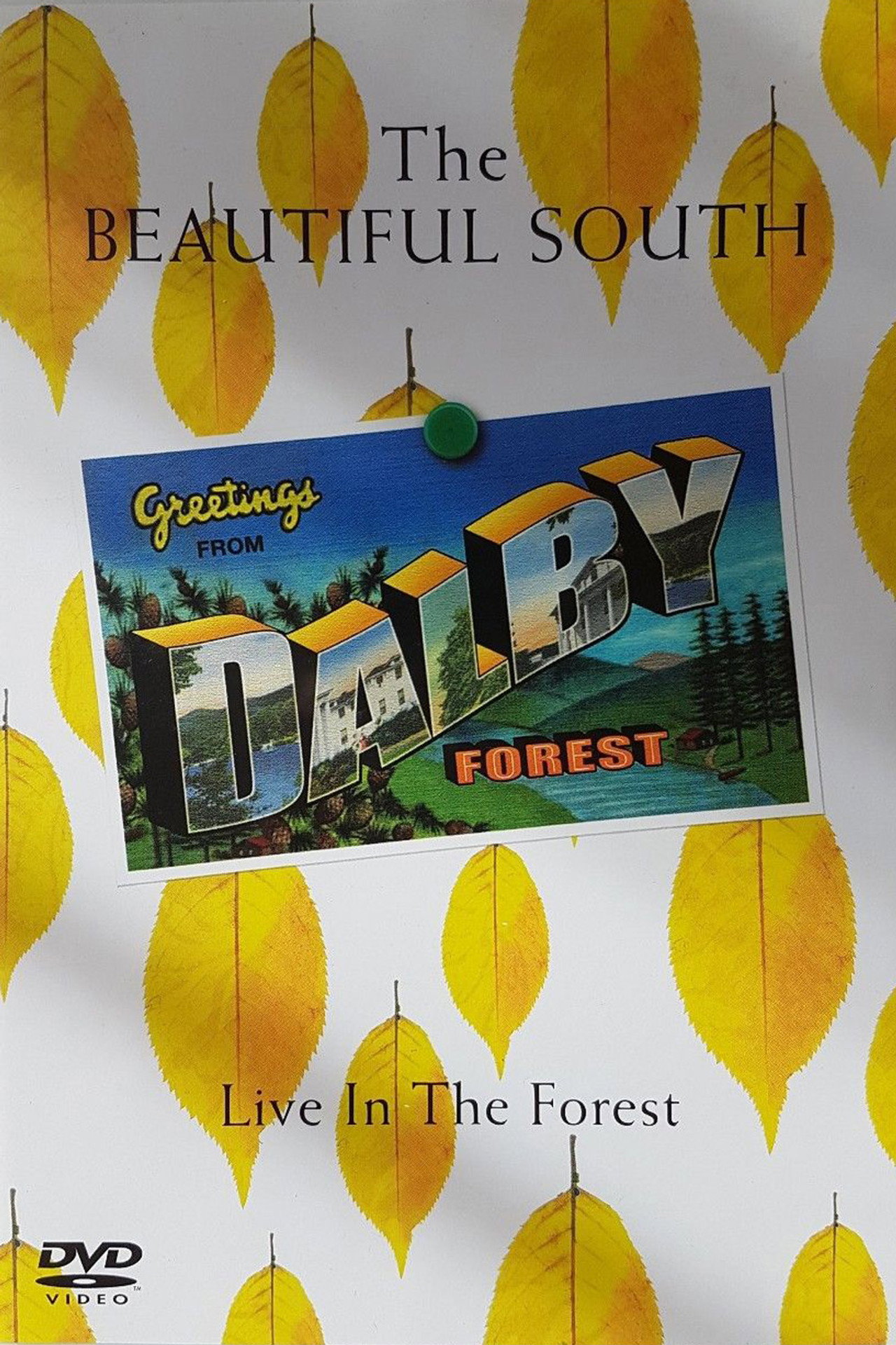 The Beautiful South: Live In The Forest Backdrop
