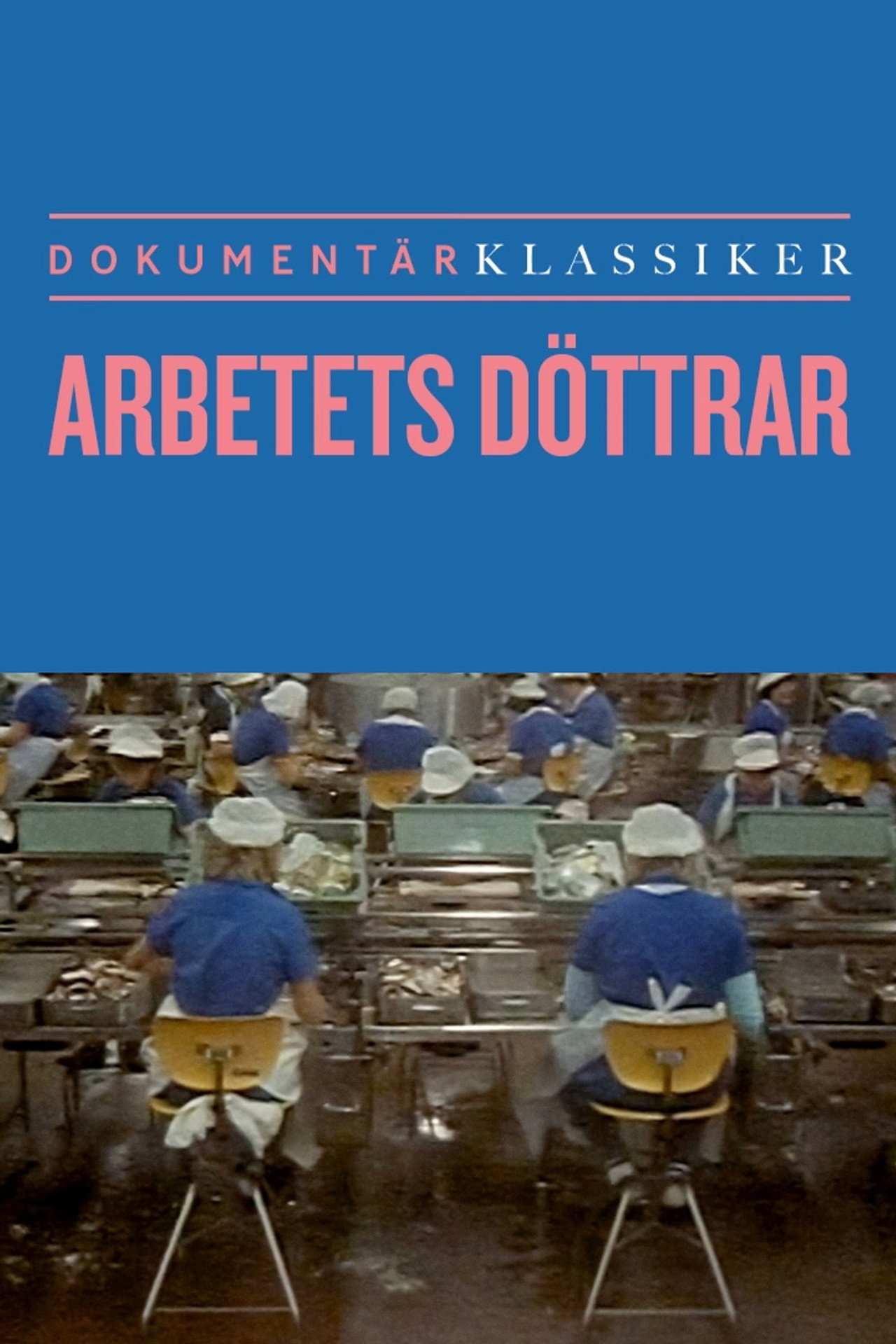 Arbetets döttrar: kvinnor i två fabriker