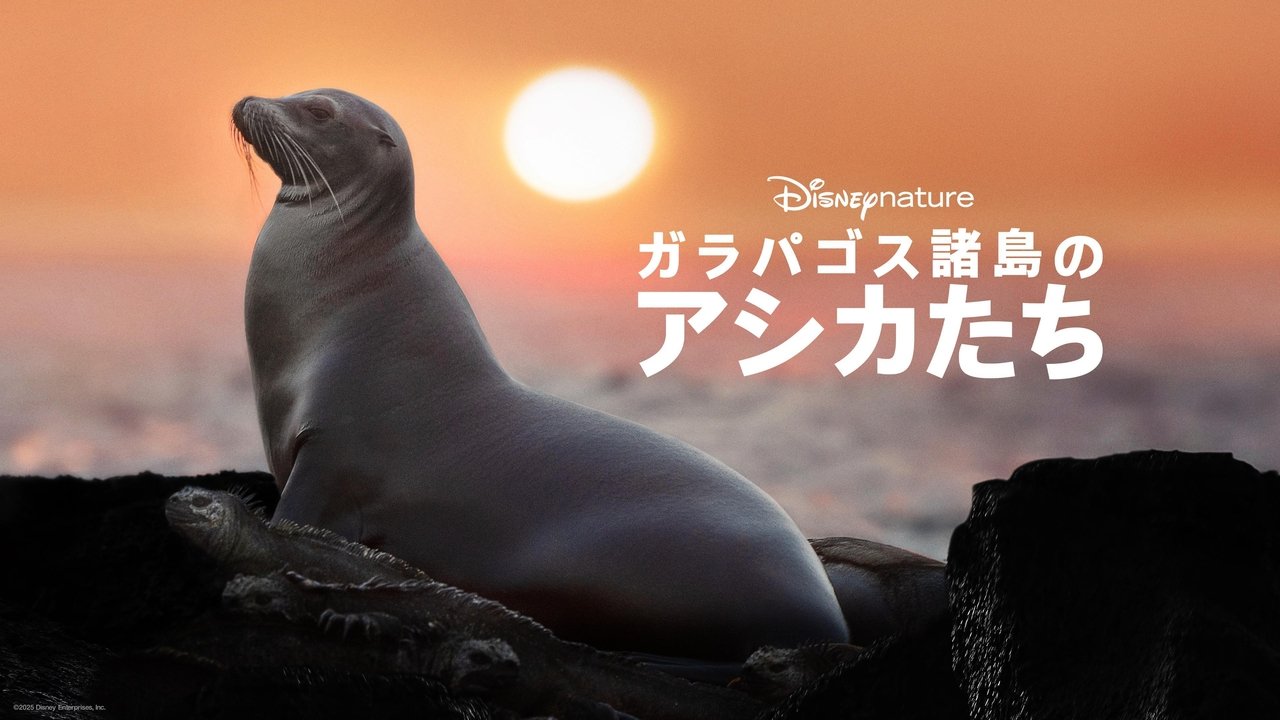 title image