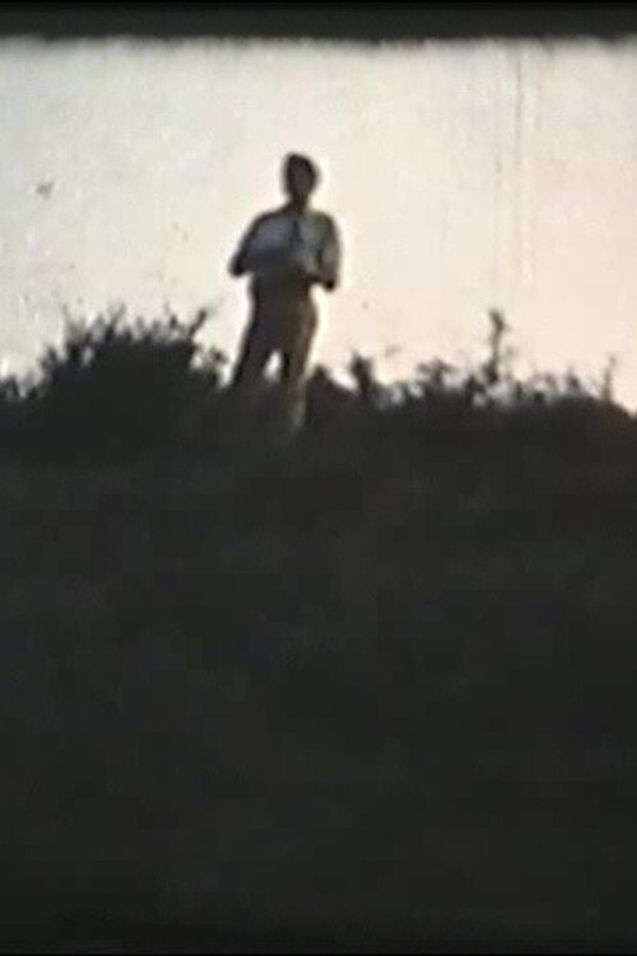 Beiuș filmaffisch