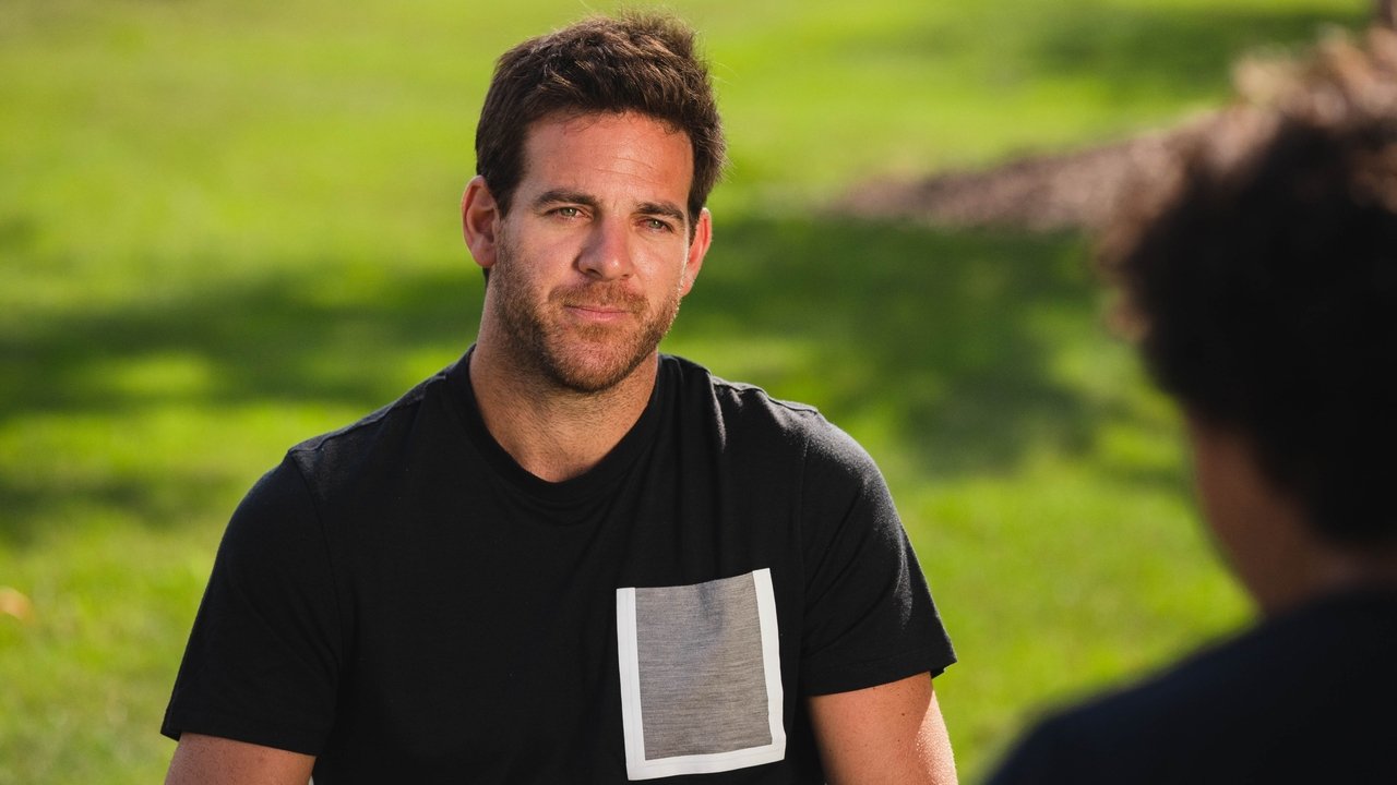 Del Potro, el último match point ()