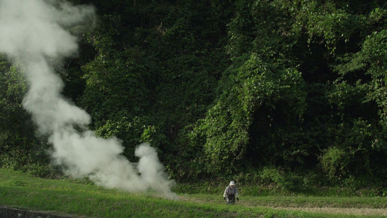 Little Forest: Winter/Spring backdrop