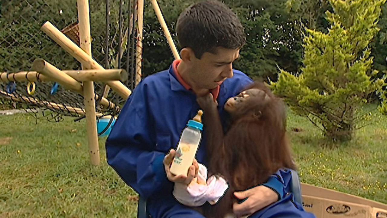 Monkey Business — Épisode 5