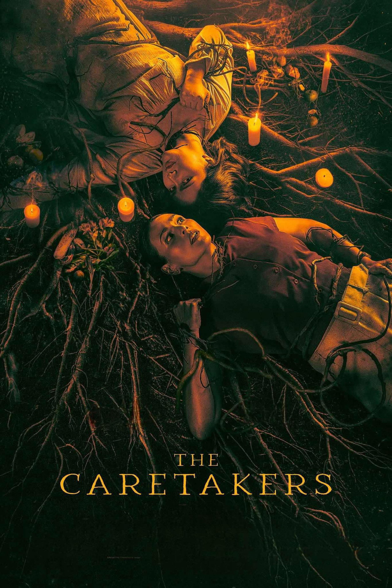 The Caretakers filmaffisch