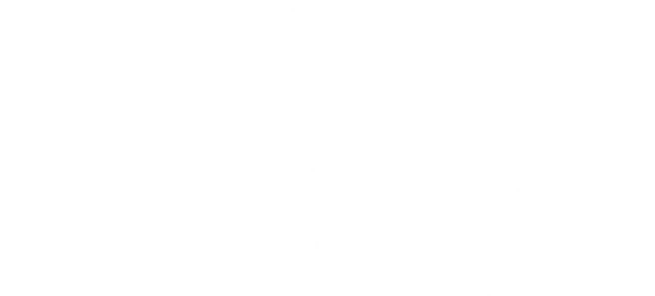 D2: The Mighty Ducks
