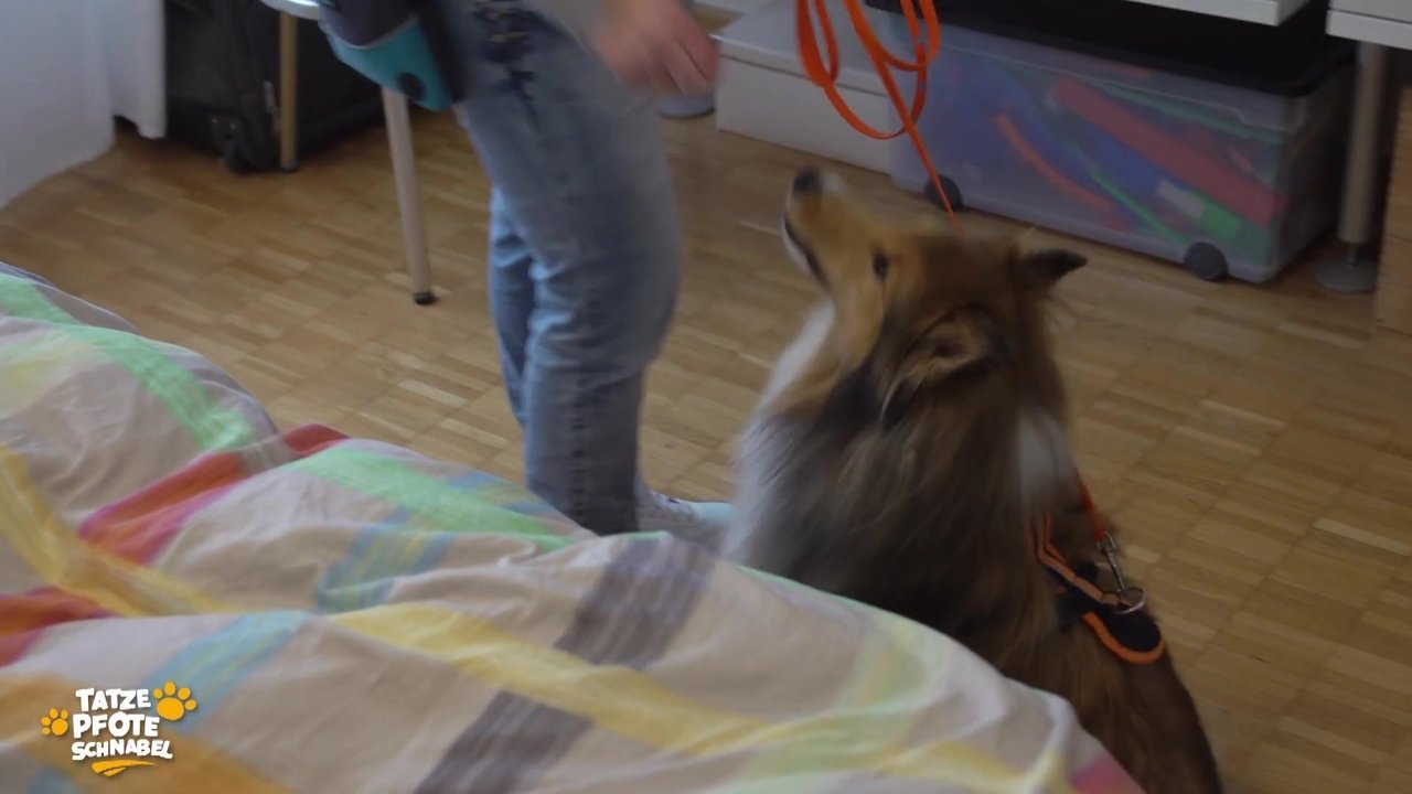 Tatze, Pfote, Schnabel - Season 3 Episode 6 : Episode 6