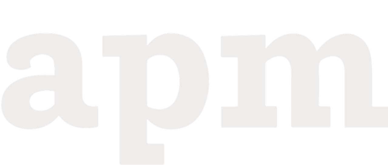 APM - Ana Pinhão Moura Produções