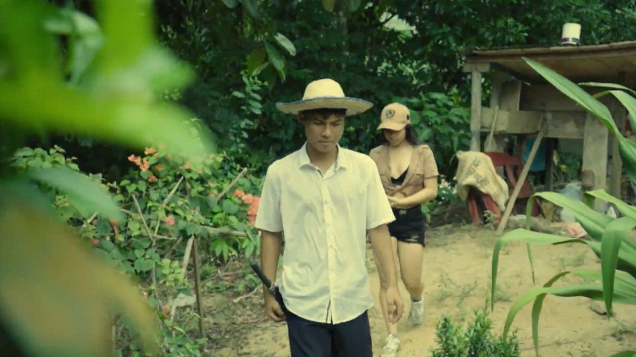 Laura y sus raices backdrop