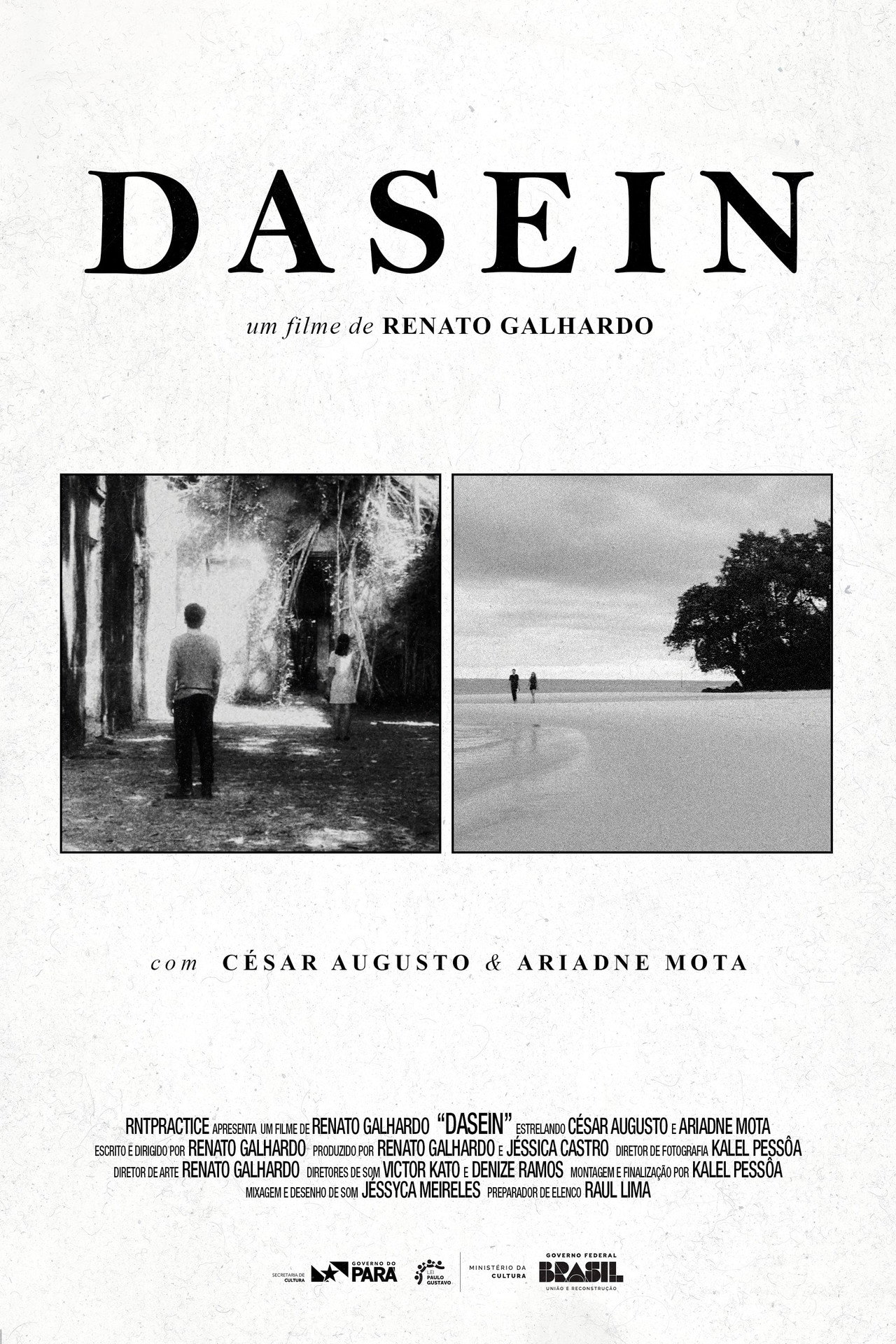 Dasein Backdrop