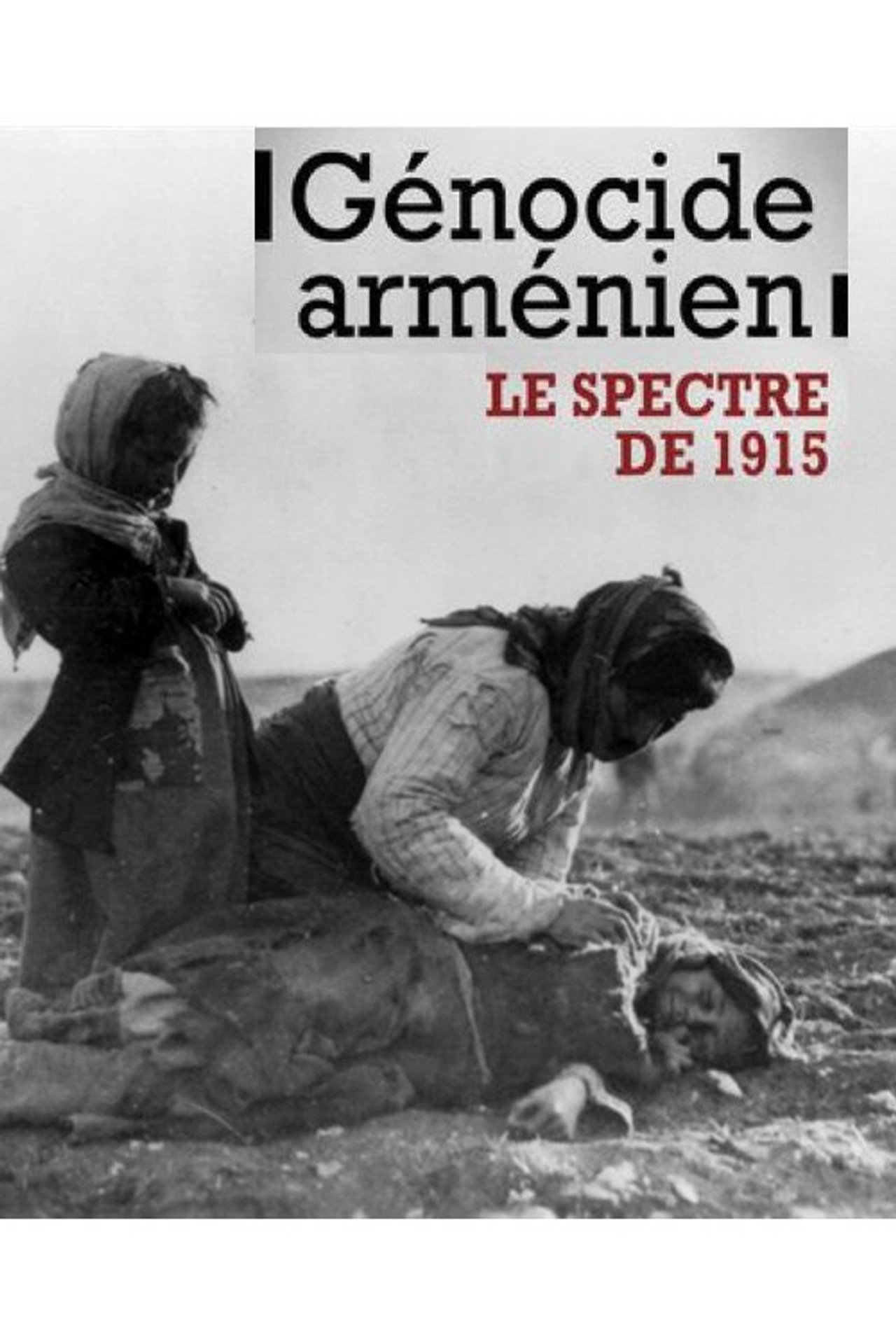 Génocide arménien, le spectre de 1915 filmaffisch