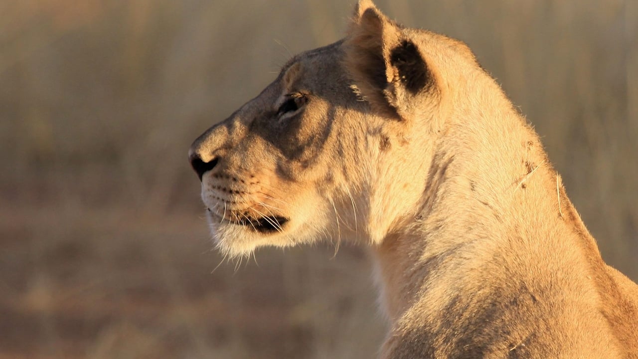 Deadly 60 — Épisode 22