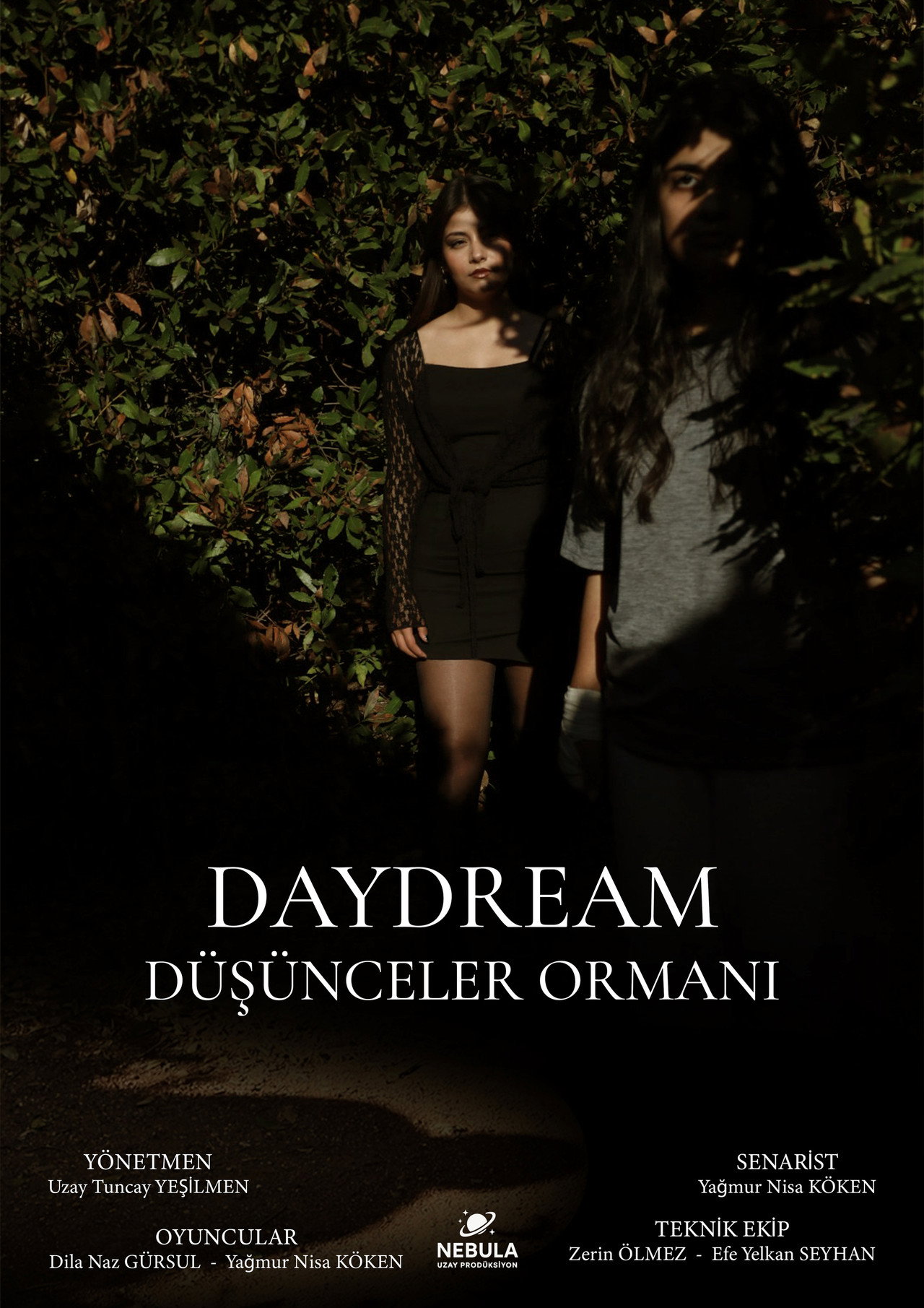 Daydream Backdrop