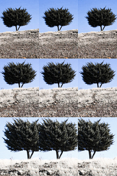 Where is the Final Destination? poster