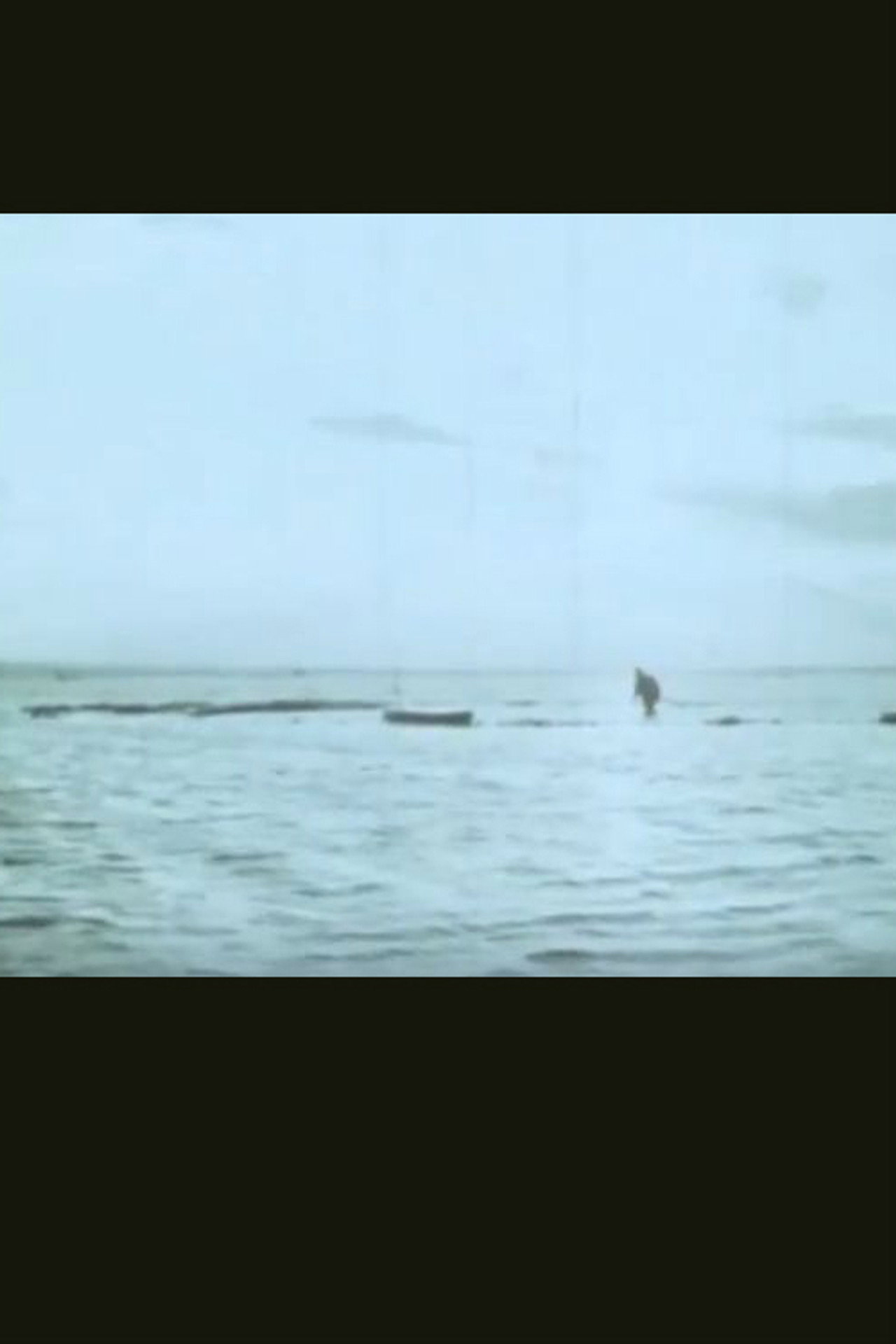 Il campo filmaffisch