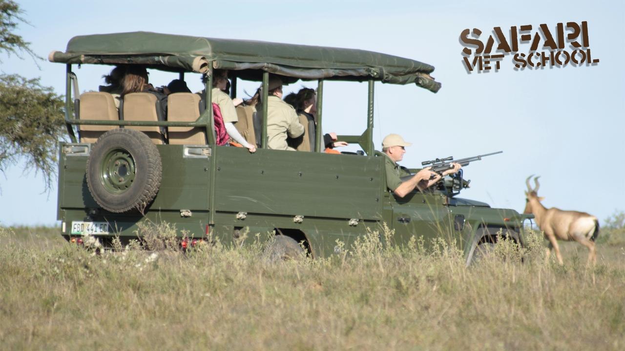 Safari Vet School background