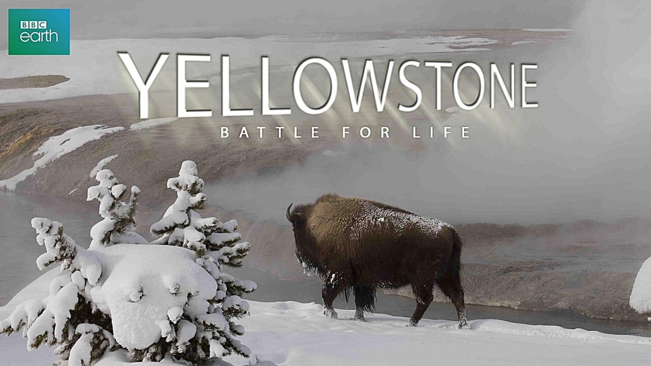 Yellowstone background