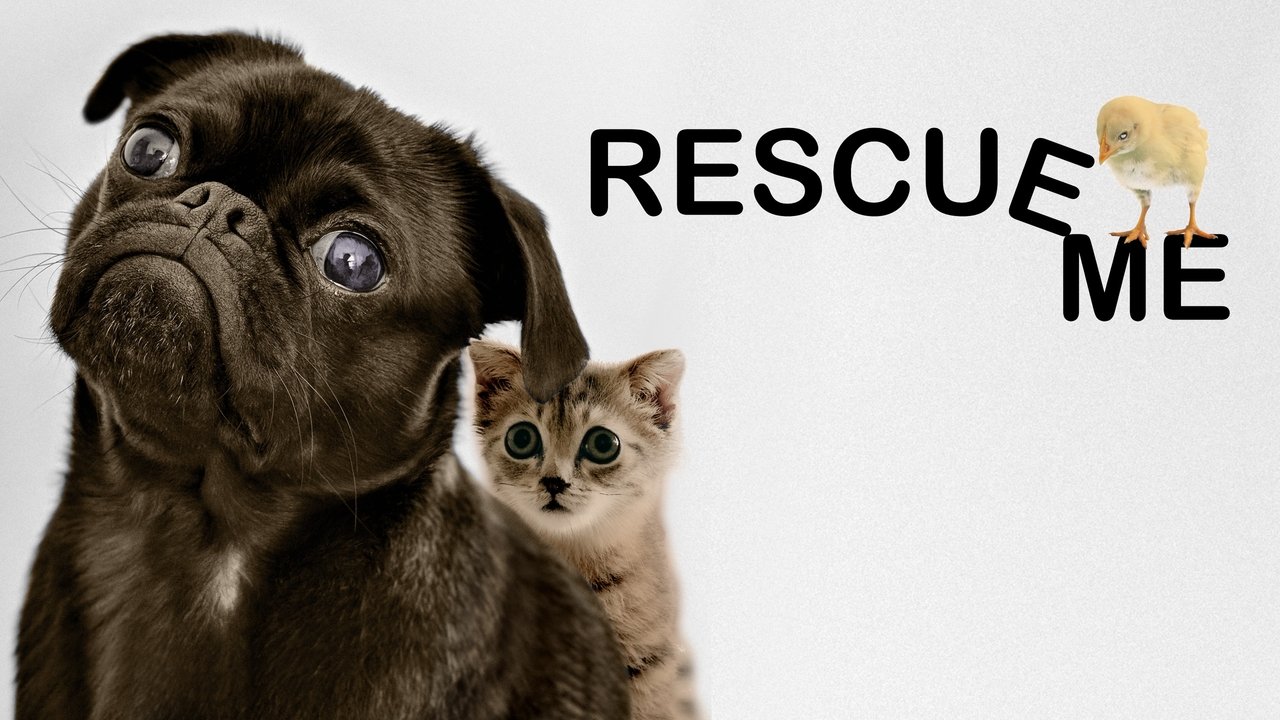 Rescue Me background