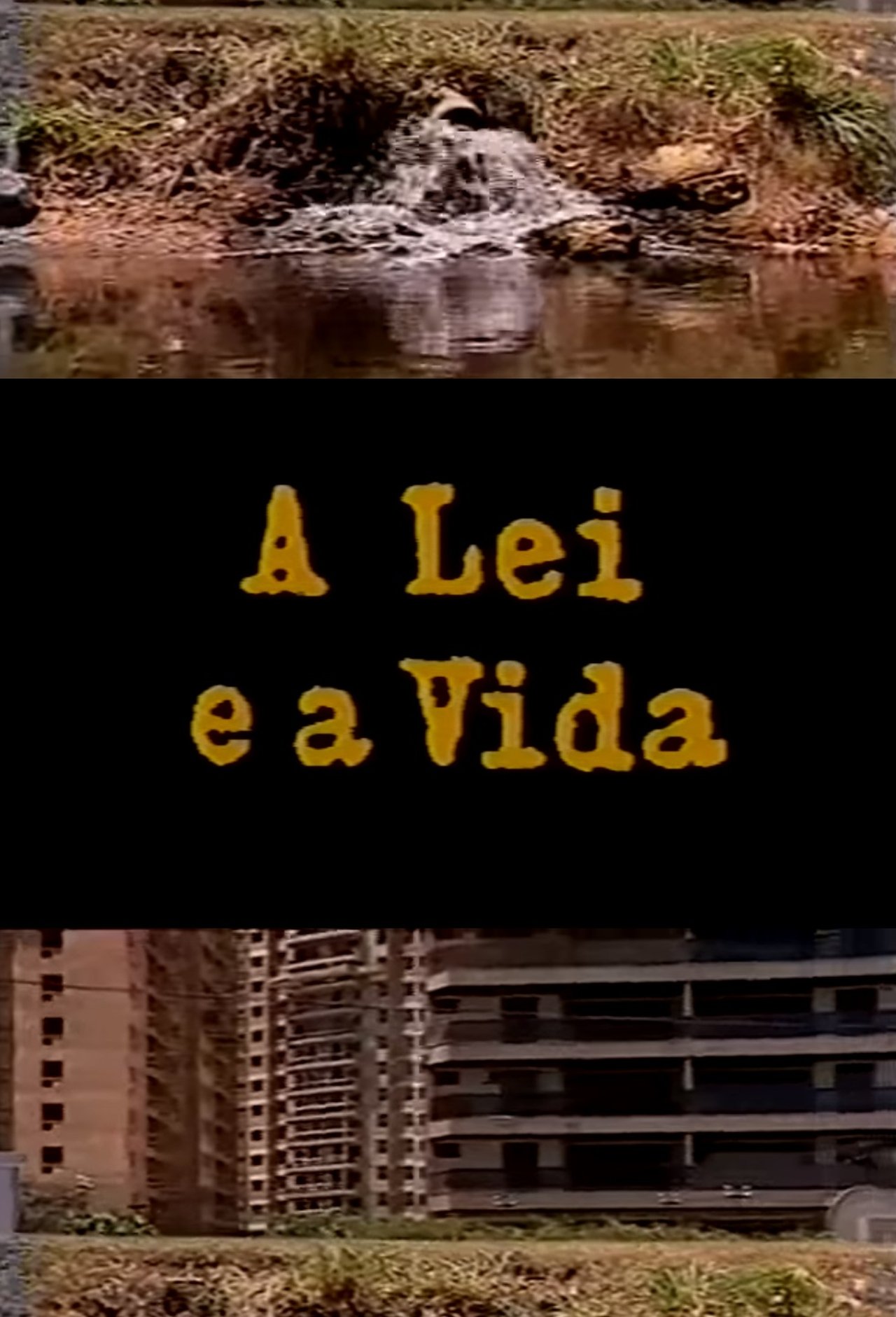 A Lei e a Vida A Lei e a Vida