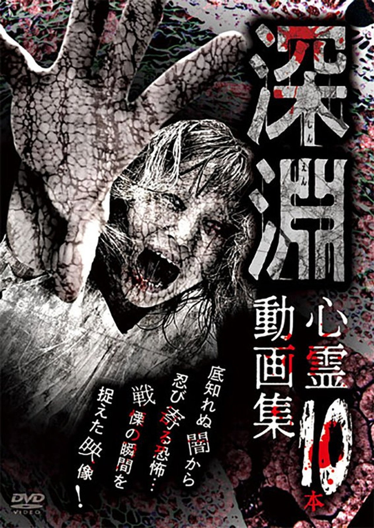 Shin'en - Shinrei Dōga-shū 10-pon