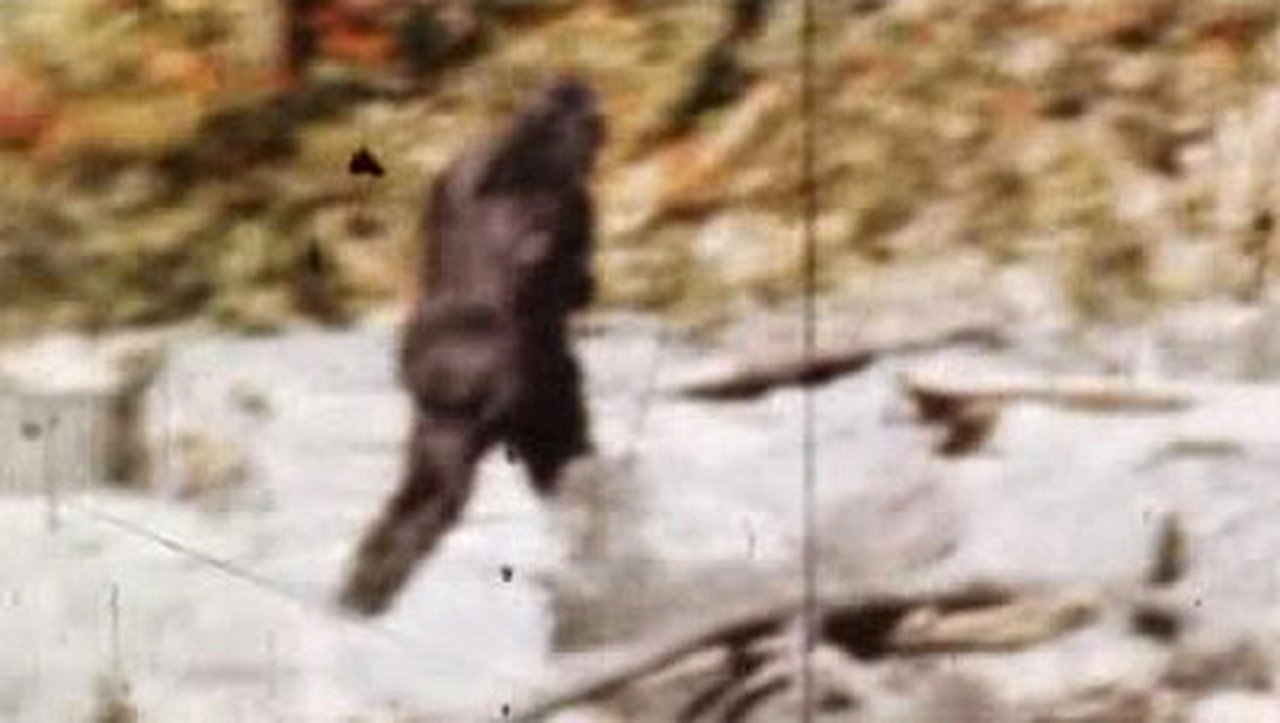 Bigfoot