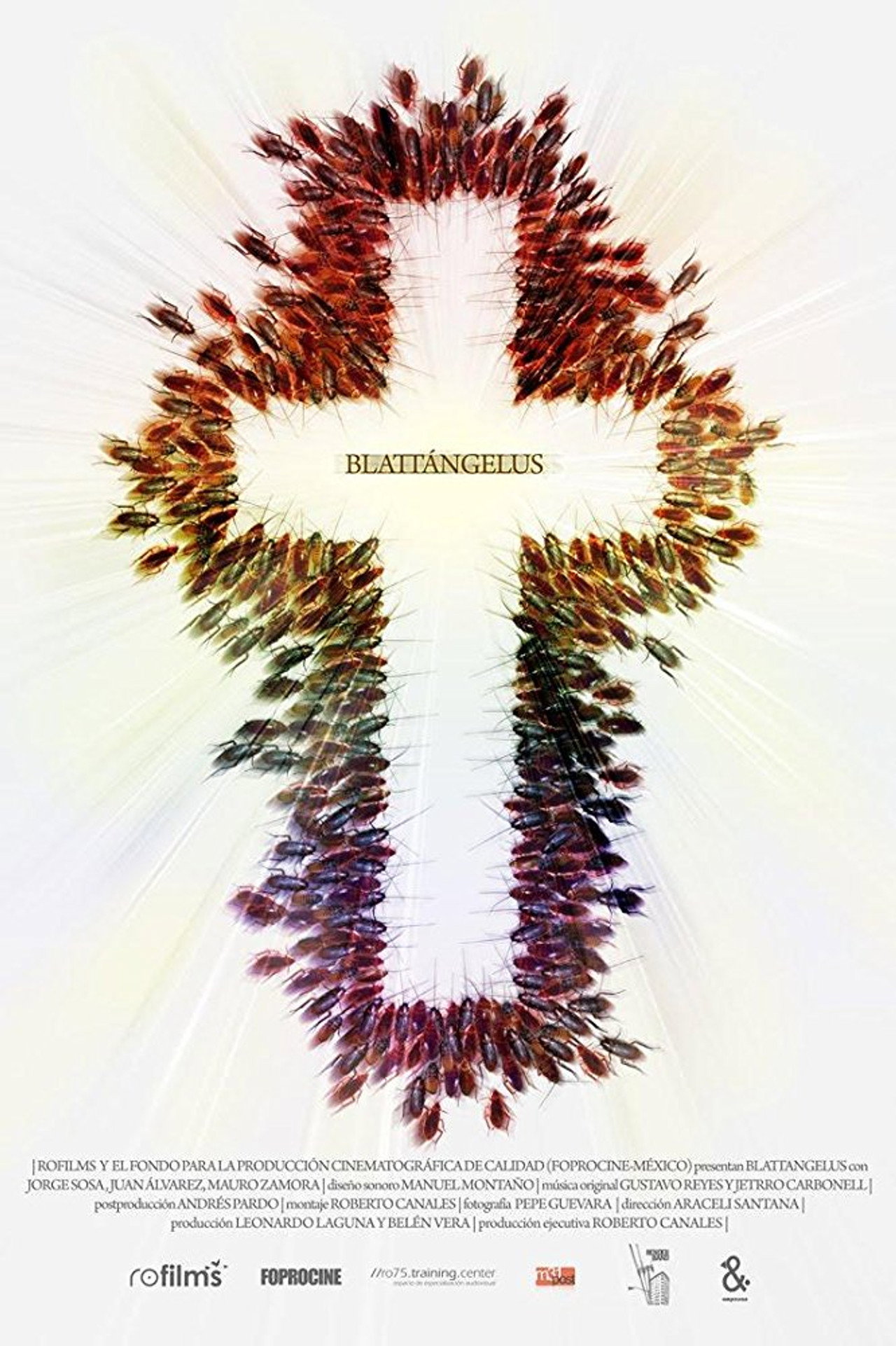 Blatangelus (2010)