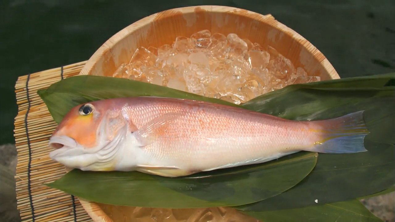Amadai