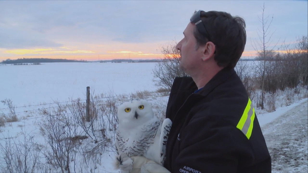 Airport: Below Zero — Épisode 3